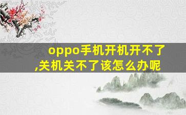 oppo手机开机开不了,关机关不了该怎么办呢