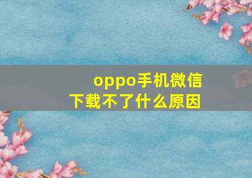 oppo手机微信下载不了什么原因