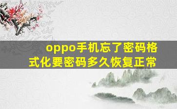 oppo手机忘了密码格式化要密码多久恢复正常