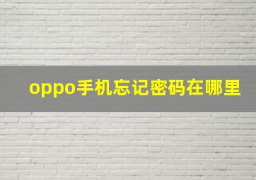 oppo手机忘记密码在哪里