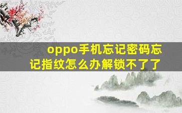 oppo手机忘记密码忘记指纹怎么办解锁不了了