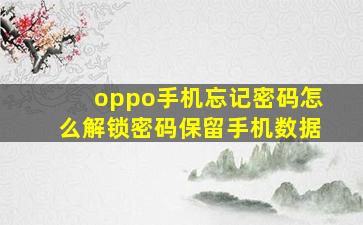 oppo手机忘记密码怎么解锁密码保留手机数据