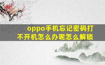 oppo手机忘记密码打不开机怎么办呢怎么解锁