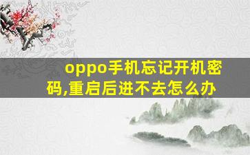 oppo手机忘记开机密码,重启后进不去怎么办