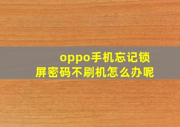 oppo手机忘记锁屏密码不刷机怎么办呢