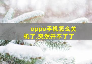 oppo手机怎么关机了,突然开不了了