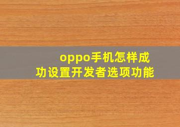 oppo手机怎样成功设置开发者选项功能