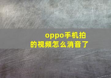 oppo手机拍的视频怎么消音了