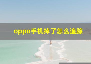 oppo手机掉了怎么追踪