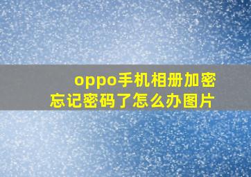 oppo手机相册加密忘记密码了怎么办图片