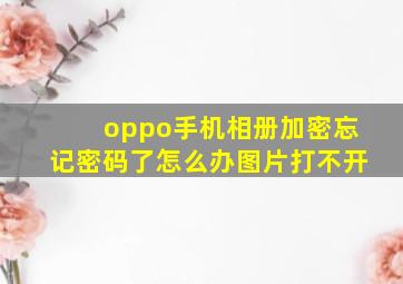 oppo手机相册加密忘记密码了怎么办图片打不开