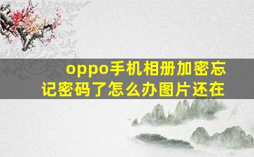 oppo手机相册加密忘记密码了怎么办图片还在