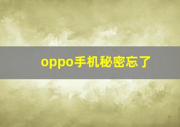 oppo手机秘密忘了