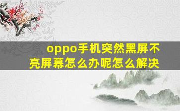 oppo手机突然黑屏不亮屏幕怎么办呢怎么解决