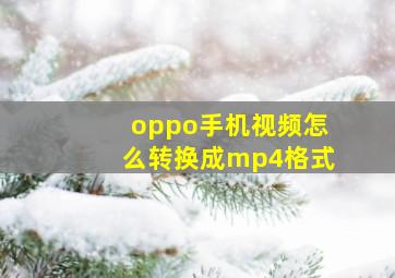 oppo手机视频怎么转换成mp4格式