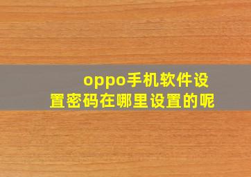 oppo手机软件设置密码在哪里设置的呢