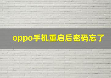 oppo手机重启后密码忘了