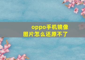 oppo手机镜像图片怎么还原不了