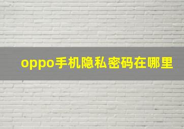 oppo手机隐私密码在哪里