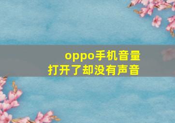 oppo手机音量打开了却没有声音