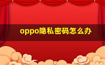 oppo隐私密码怎么办