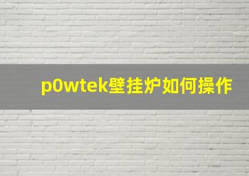 p0wtek壁挂炉如何操作