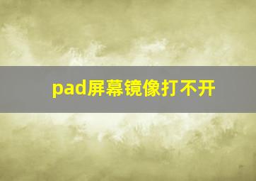 pad屏幕镜像打不开