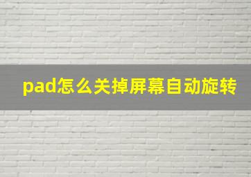 pad怎么关掉屏幕自动旋转