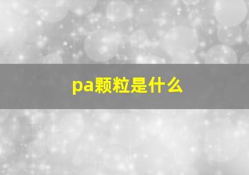 pa颗粒是什么