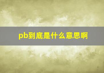 pb到底是什么意思啊