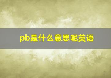 pb是什么意思呢英语