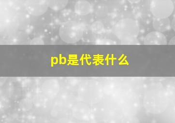 pb是代表什么