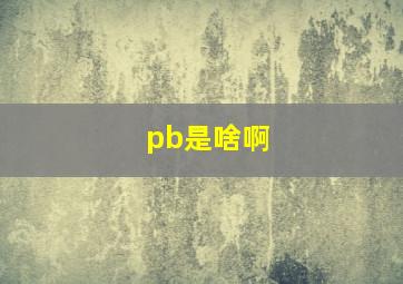 pb是啥啊