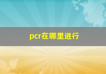 pcr在哪里进行