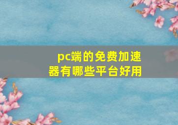 pc端的免费加速器有哪些平台好用