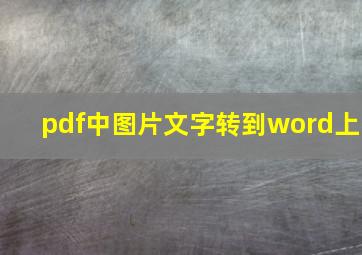 pdf中图片文字转到word上