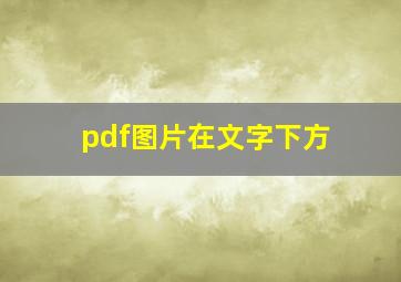 pdf图片在文字下方