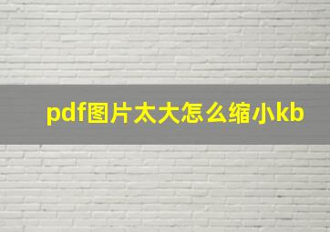 pdf图片太大怎么缩小kb