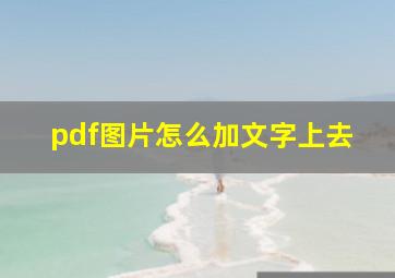 pdf图片怎么加文字上去