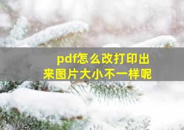 pdf怎么改打印出来图片大小不一样呢