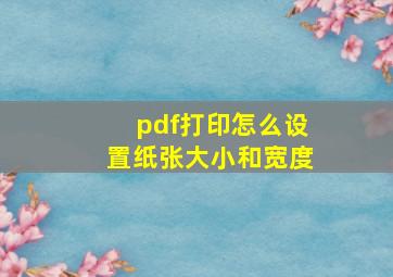 pdf打印怎么设置纸张大小和宽度