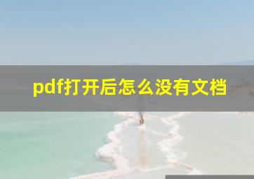 pdf打开后怎么没有文档