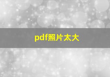 pdf照片太大