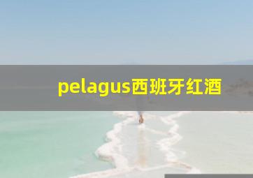 pelagus西班牙红酒