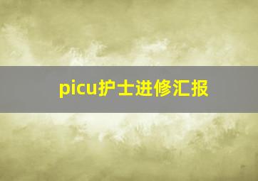 picu护士进修汇报