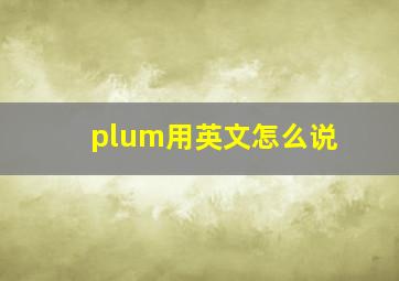 plum用英文怎么说