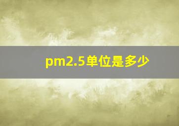 pm2.5单位是多少