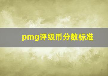 pmg评级币分数标准