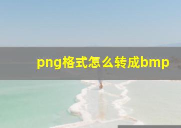 png格式怎么转成bmp