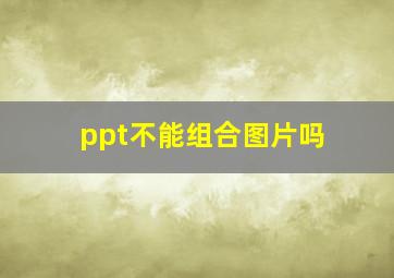 ppt不能组合图片吗